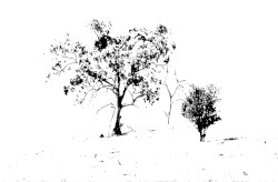 Live at Larraskito, Bilbao 10/08/2019