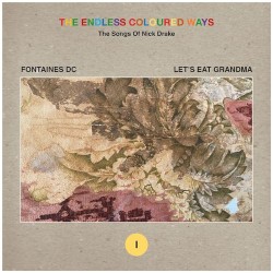 The Endless Coloured Ways: The Songs of Nick Drake (I)