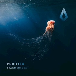 Fragments XVII