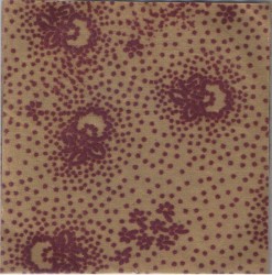 Desolation Beauty Violence