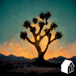Joshua Tree