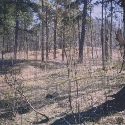 Come On and Bring Back the Brjokén Sounds of Yore!