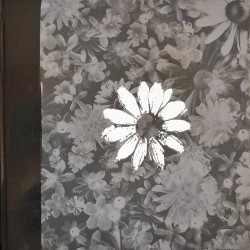 A Little Man and a House and the Whole World Window