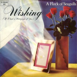 Wishing (If I Had a Photograph of You)