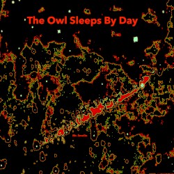 The Owl Sleeps by Day
