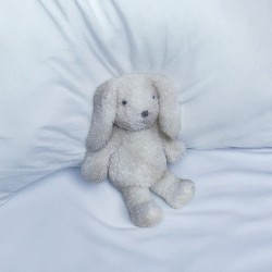 ユキくんあのね