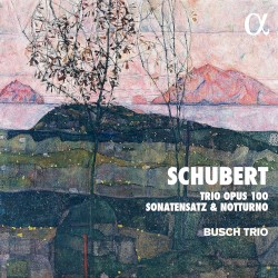 Trio, op. 100 / Sonatensatz / Notturno