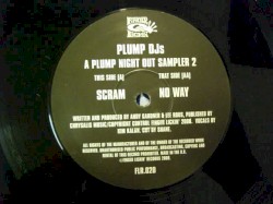 A Plump Night Out: Sampler 2