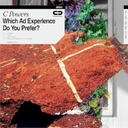 Which Ad Experience Do You Prefer?