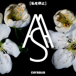 Cerasus