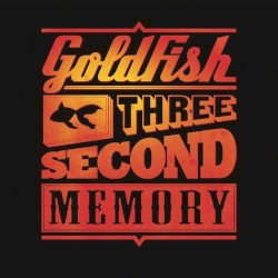 Three Second Memory