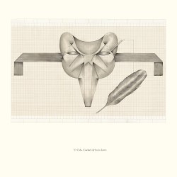 Gadael Dy Hun i Lawr