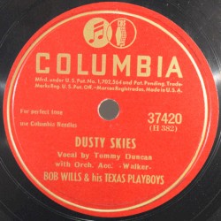 Dusty Skies / It's All Your Fault