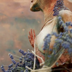 An Adornment of Light