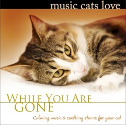 While You Are Gone - Music Cats Love