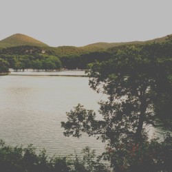 Who God Bless, No Man Can Curse