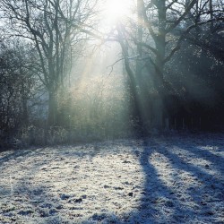 Heavenward