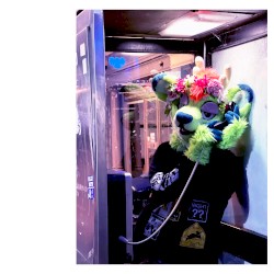 JUST ARTIST STRUGGLES