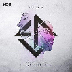 Never Have I Felt This (VIP)