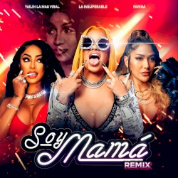 Soy mamá (remix)