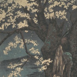 LUNAR Loops, Vol. 3: Time Traveler