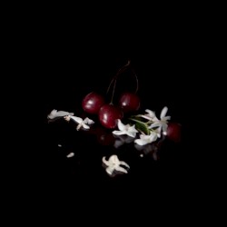 One Life : Four Remixes