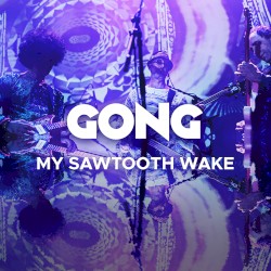 My Sawtooth Wake (live)