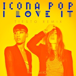 I Love It (Tiesto remix)