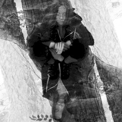 Life of a Space Tree