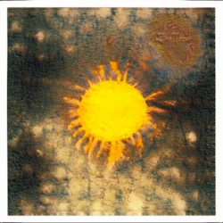 That which I think to be myself is but infinite number