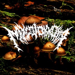 Early Studies on the Subject