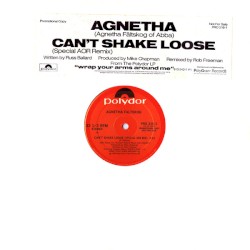 Can't Shake Loose (Special AOR Remix)