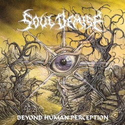 Beyond Human Perception