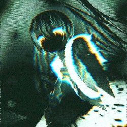 spirit ecstasy / stardust