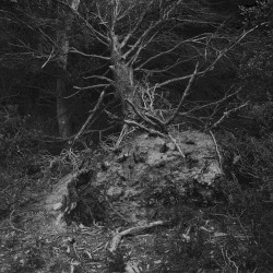 Les contes de nulle part #2