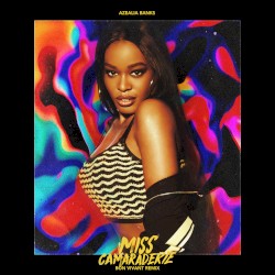 Miss Camaraderie (Bon Vivant remix)