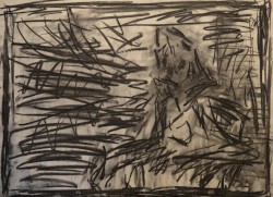 Something About This Place in the Woods