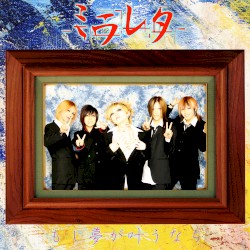 もし夢が叶うなら