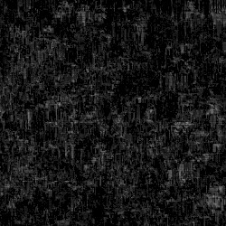 polly velvet x Yasuyuki Uesugi