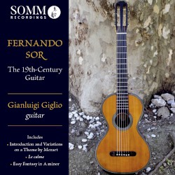 The 19th Century Guitar