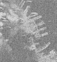 violence is the solution