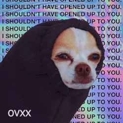 i shouldn't have opened up to you