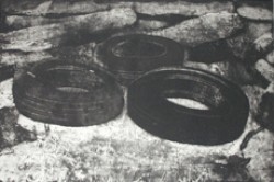 Detritus