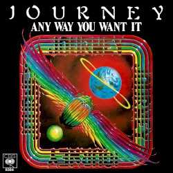 Any Way You Want It