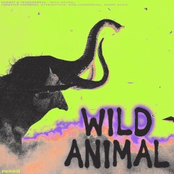 wild animal