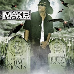 Public Domain 3: Domain Pain