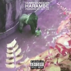 Harambe