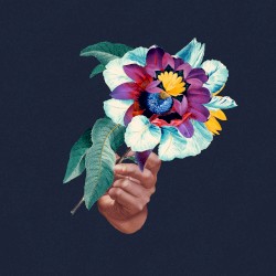 Kingdoms in Colour Remixed