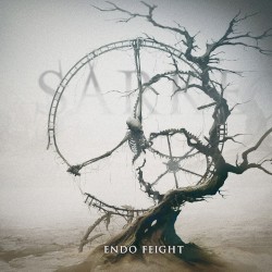 Endo Feight