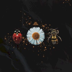 What We Leave Behind